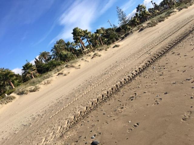 Apartamento Beachfront La Jacaranda Marbella Esterno foto